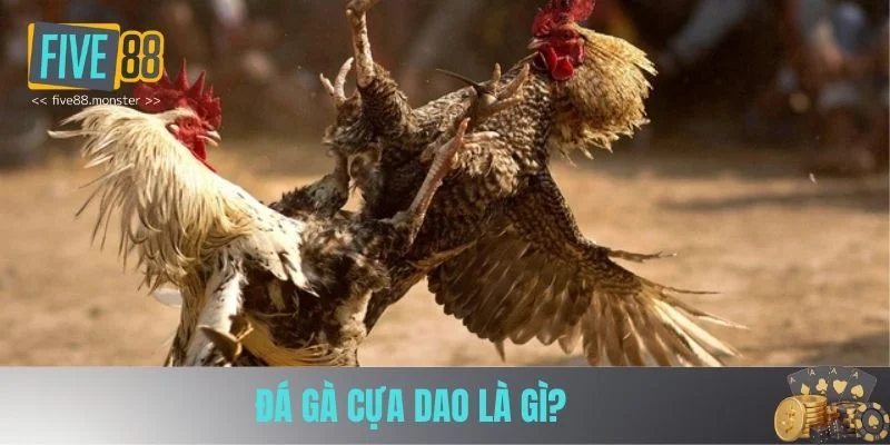 Khái niệm đá gà cựa dao Khái niệm đá gà cựa dao