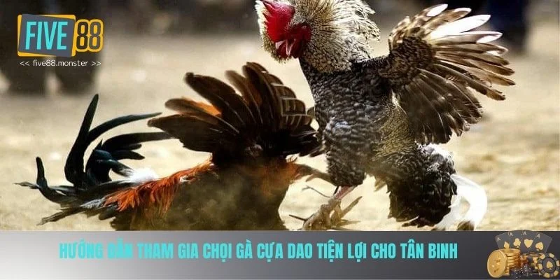 Hướng dẫn tham gia nhanh Hướng dẫn tham gia nhanh