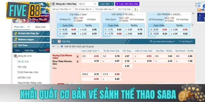 Khái quát cơ bản về sảnh thể thao saba Khái quát cơ bản về sảnh thể thao saba