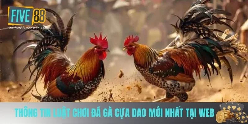 Luật chơi đá gà cựa dao Luật chơi đá gà cựa dao
